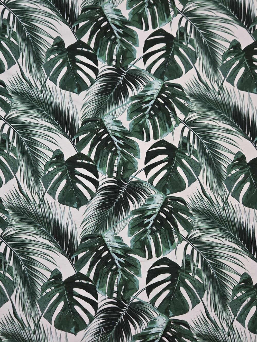 Canvas Fabric: Vivid Monstera Plant 100% Cotton Canvas 100cmxWOF